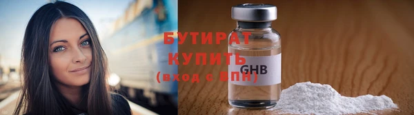 шишки Гусиноозёрск